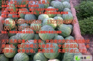 河南西瓜價(jià)格最新行情,河南西瓜價(jià)格最新行情分析