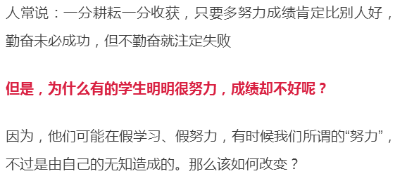 穆斯林女孩經(jīng)名最新,穆斯林女孩經(jīng)名最新趨勢(shì)，探索與啟示