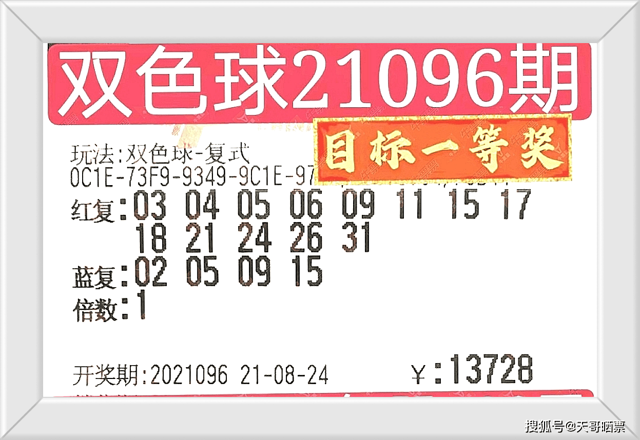 2024新澳門今晚開獎號碼和香港,探索彩票奧秘，新澳門與香港的開獎號碼展望（2024年展望）