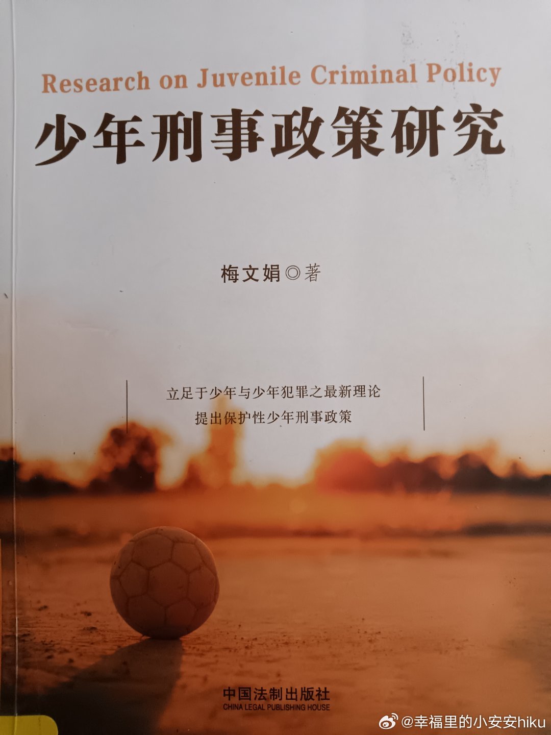 2024新奧門正版資料,警惕犯罪風險，切勿依賴非法資料——關于新奧門正版資料的探討