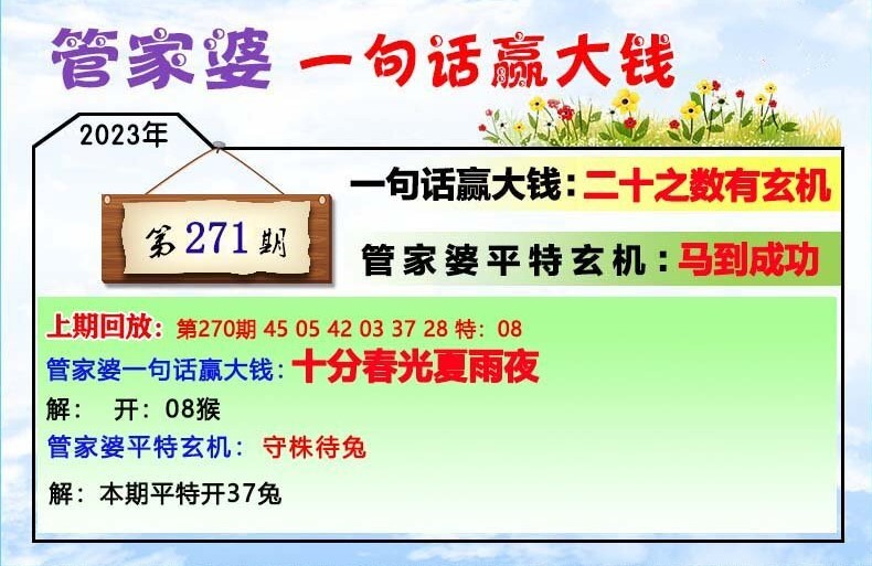 2024年12月28日 第13頁