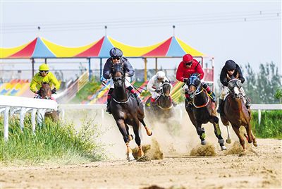 2024今晚香港開(kāi)特馬,今晚香港開(kāi)特馬，探索賽馬文化，體驗(yàn)速度與激情