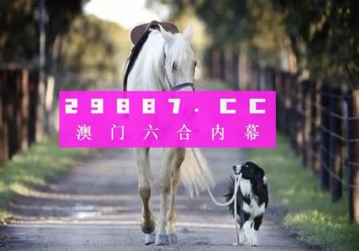 新澳2024年精準(zhǔn)一肖一碼,新澳2024年精準(zhǔn)一肖一碼，預(yù)測與探索