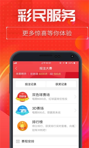 王中王493333中特1肖,王中王493333中特1肖，探索與解讀