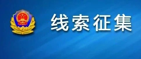 澳門正版資料免費大全新聞——揭示違法犯罪問題,澳門正版資料免費大全新聞——深入揭示違法犯罪問題的嚴峻性