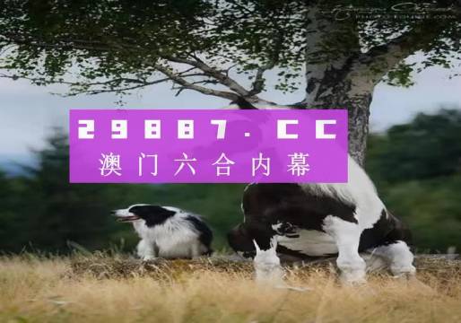 澳門今晚開特馬四不像圖,澳門今晚開特馬四不像圖——探索與解析