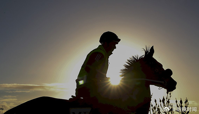 2024澳門特馬今晚開獎一,澳門特馬今晚開獎一，期待與驚喜交織的時刻