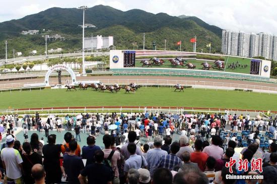 香港馬資料更新最快的,香港賽馬資料更新的速度與深度，與時俱進(jìn)，掌握最新動態(tài)