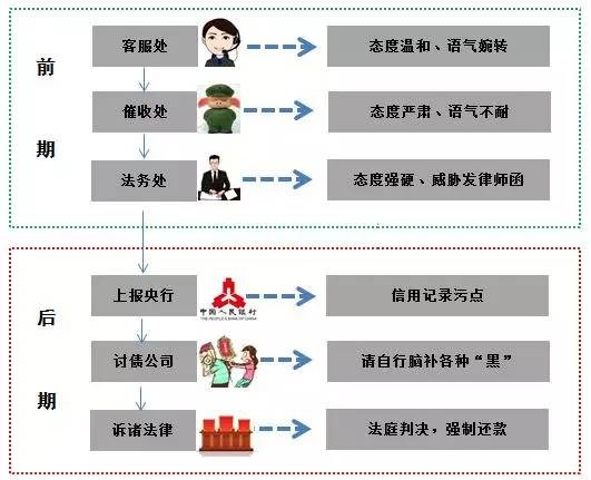 二四六期期準資料公開,二四六期期準資料公開，探索與啟示