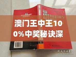 澳門王中王100%期期中一期,澳門王中王，揭秘期期中一期的秘密與魅力