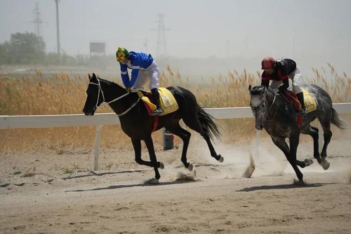 2024今晚香港開特馬,今晚香港開特馬，探索賽馬運(yùn)動的魅力與未來展望