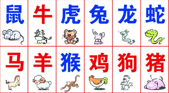 一碼一肖100%精準(zhǔn)生肖第六,一碼一肖，揭秘生肖第六的精準(zhǔn)魅力與奧秘