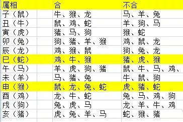 2024年12生肖49碼圖,揭秘2024年十二生肖與49碼圖的神秘關(guān)聯(lián)