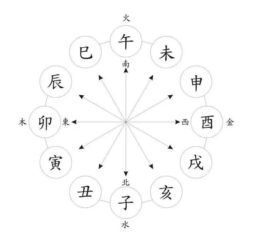 一肖一碼,一肖一碼，探索數(shù)字與生肖的奧秘