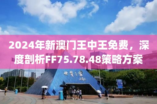 2024年新澳門王中王免費,探索新澳門，2024年王中王免費現(xiàn)象的背后