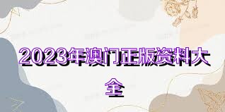 2023年正版資料免費(fèi)大全, 2023年正版資料免費(fèi)大全，探索與分享