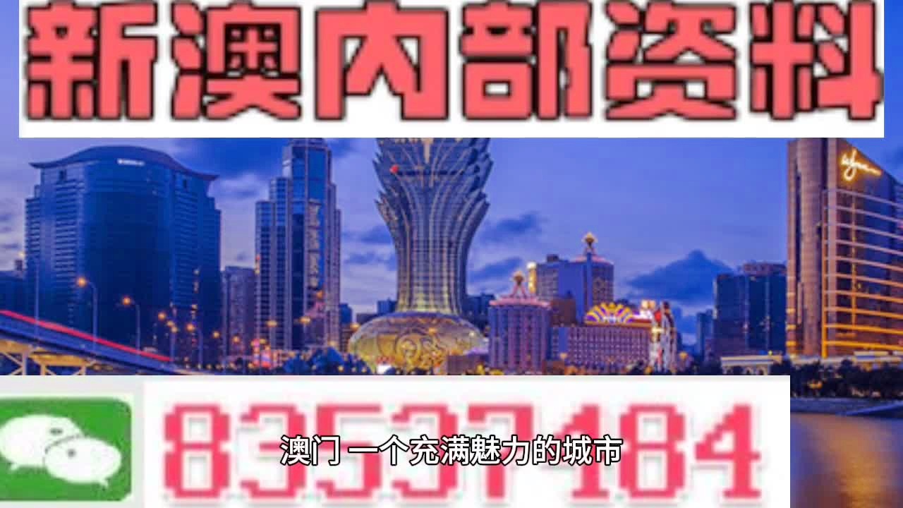 新港澳門免費資料長期公開,新港澳門免費資料長期公開，探索與啟示