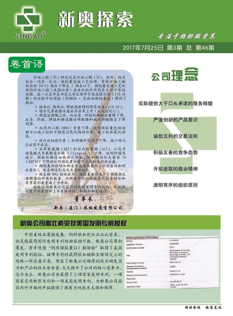 2024新奧精準(zhǔn)正版資料,探索未來之路，解析2024新奧精準(zhǔn)正版資料的重要性與價(jià)值