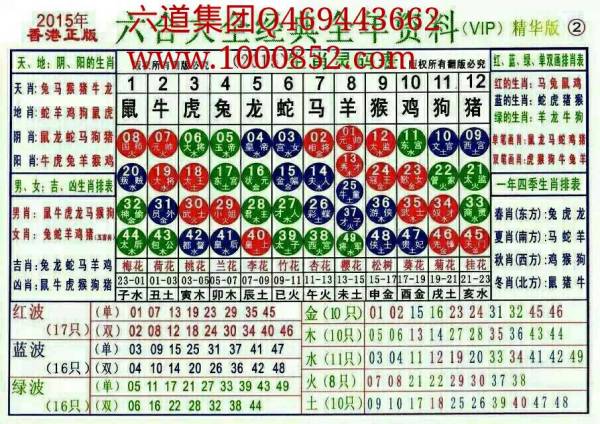 2024十二生肖49碼表,揭秘2024十二生肖與數(shù)字彩票的奇妙結(jié)合——49碼表詳解