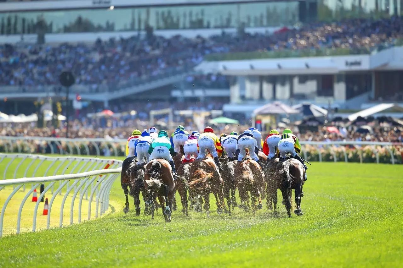 2024今晚香港開(kāi)特馬,今晚香港開(kāi)特馬，探尋賽馬文化的魅力與激情