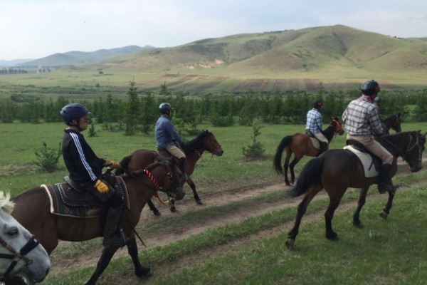 今晚澳門馬出什么特馬,今晚澳門馬會出什么樣的特馬？探索神秘馬場的奇幻之旅