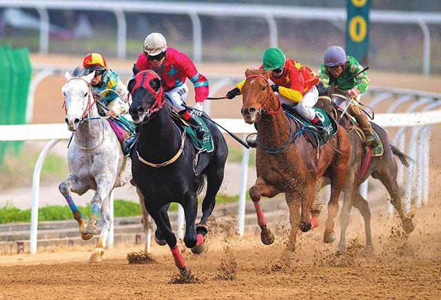 新澳今天開什么特馬,新澳今日開馬揭曉，探索賽馬運(yùn)動(dòng)的激情與魅力