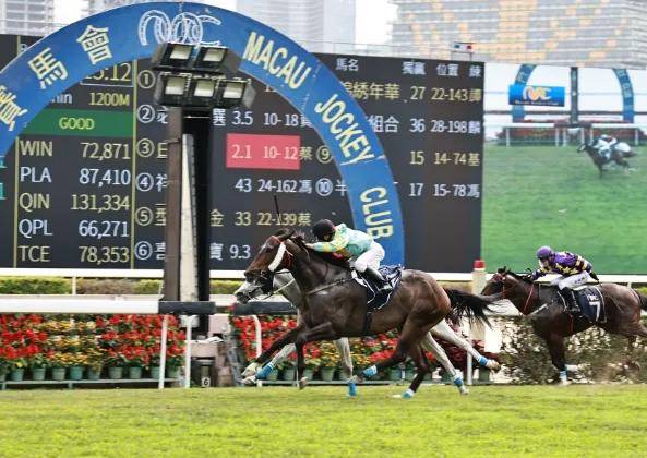 2025澳門特馬今晚開獎138期,澳門特馬的歷史與魅力，聚焦今晚開獎的2025年第138期