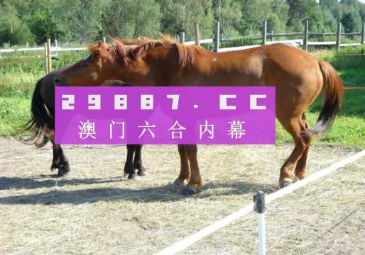 4949澳門特馬今晚開獎53期,澳門特馬第53期開獎揭曉，期待與現(xiàn)實(shí)的交匯