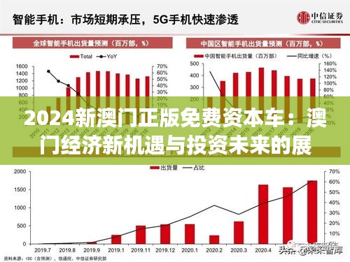 2025新澳門免費資料,探索未來，澳門免費資料的演變與機遇（至2025年）