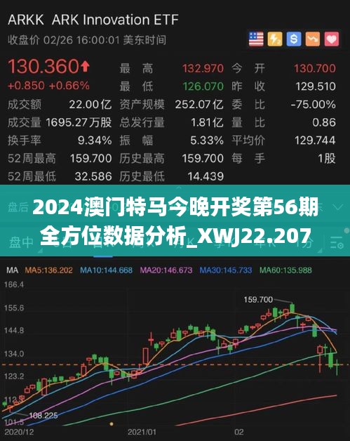 2025年澳門特馬今晚,澳門特馬在2025年的新篇章，探索未來與傳承歷史