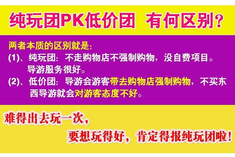 新澳天天開獎資料大全旅游團,新澳天天開獎資料大全與旅游團，探索未知世界的完美結合