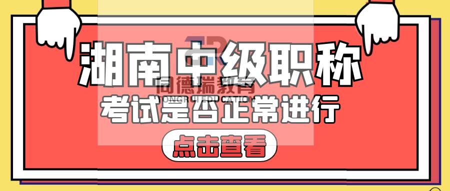 管家婆一肖一馬一中一特,管家婆的神秘預(yù)測，一肖一馬一中一特