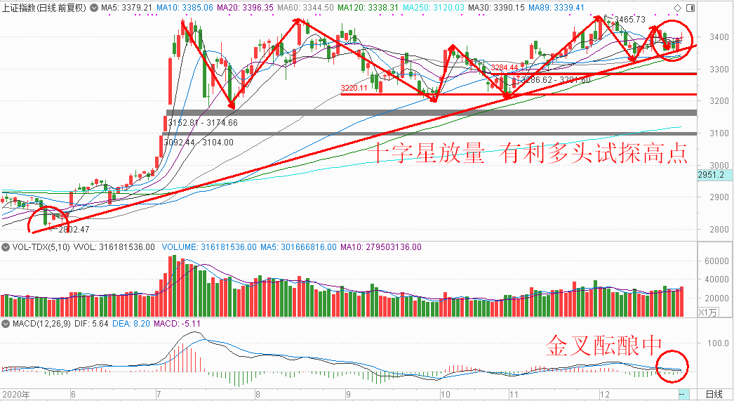 2025今晚特馬開什么,關(guān)于今晚特馬開什么的研究與預(yù)測(cè)——走向未來的視角（以文章標(biāo)題為準(zhǔn)）