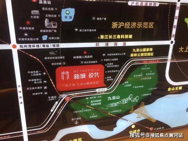 新澳2025最新資料,新澳2025最新資料深度解析