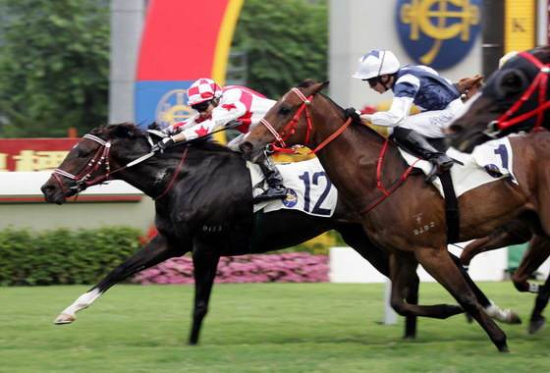 2025今晚香港開特馬,香港賽馬盛宴，2025今晚特馬開賽盛況展望