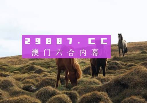 2025澳門特馬開獎號碼,澳門特馬開獎號碼與未來的想象