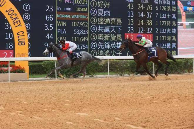 澳門馬會傳真,澳門馬會傳真，探索賽馬運動的魅力與重要性