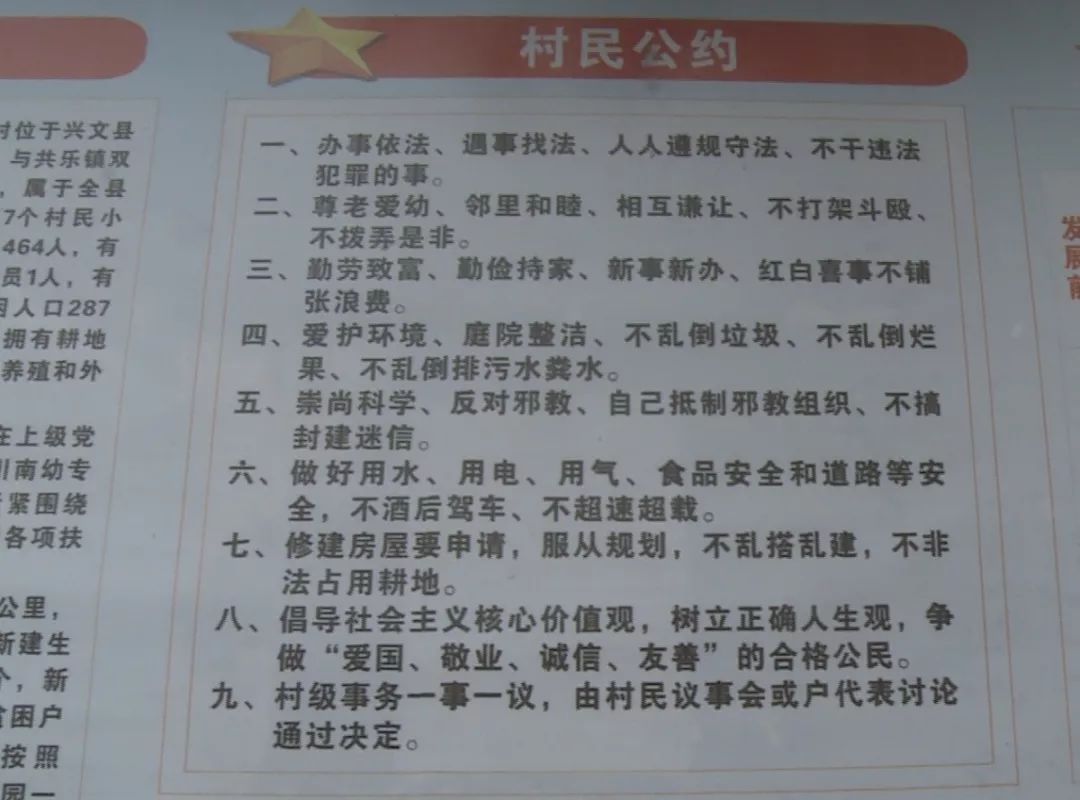 最準一肖100%準確精準的含義,揭秘最準一肖，探尋百分之百準確精準的含義