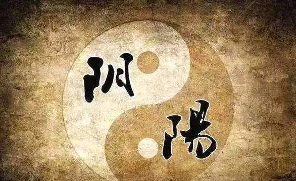 管家婆最準(zhǔn)一碼一肖,管家婆最準(zhǔn)一碼一肖，揭秘神秘預(yù)測背后的真相