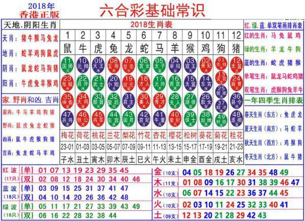 2024澳門正版資料大全資料生肖卡,探索澳門正版資料大全與生肖卡的獨(dú)特魅力——2024年展望