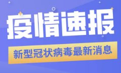 新澳精準(zhǔn)正版資料免費(fèi)119期 03-09-31-40-47-49Z：33,新澳精準(zhǔn)正版資料免費(fèi)分享，探索第119期的秘密與策略分析