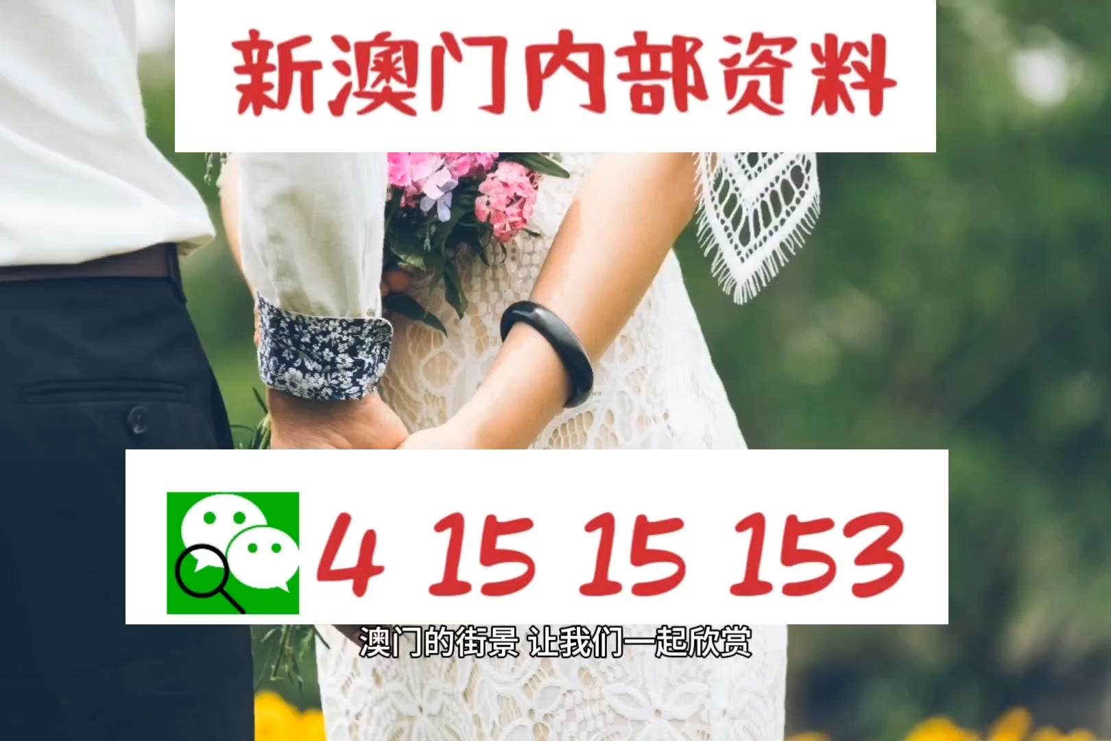 新澳精準(zhǔn)資料免費提供網(wǎng)086期 06-22-28-38-40-49A：17,新澳精準(zhǔn)資料免費提供網(wǎng)，探索數(shù)字世界的寶藏（第086期分析）